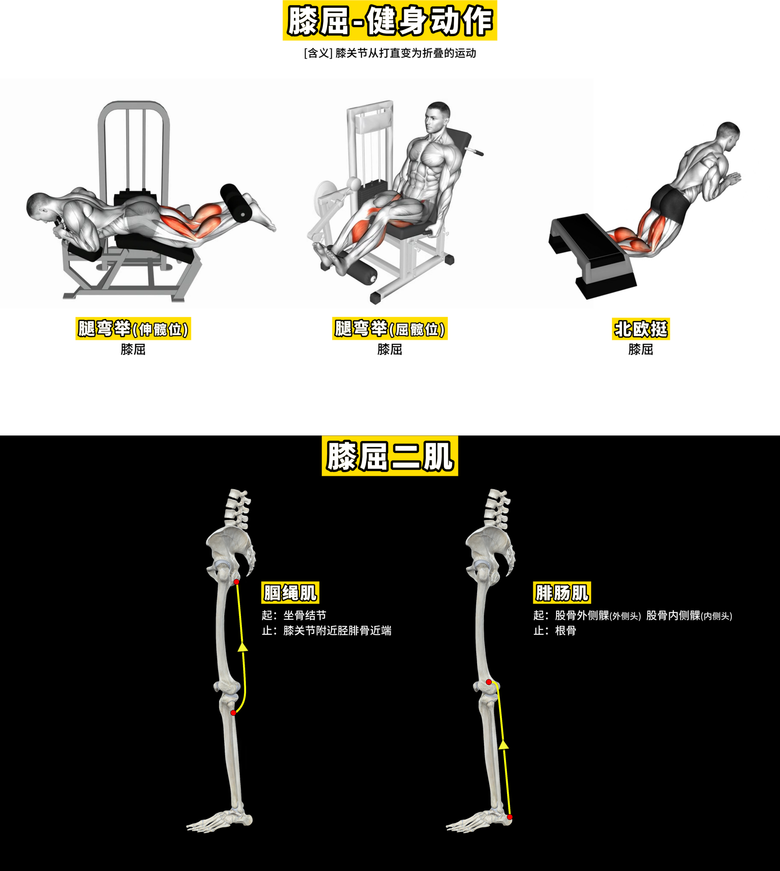 膝屈