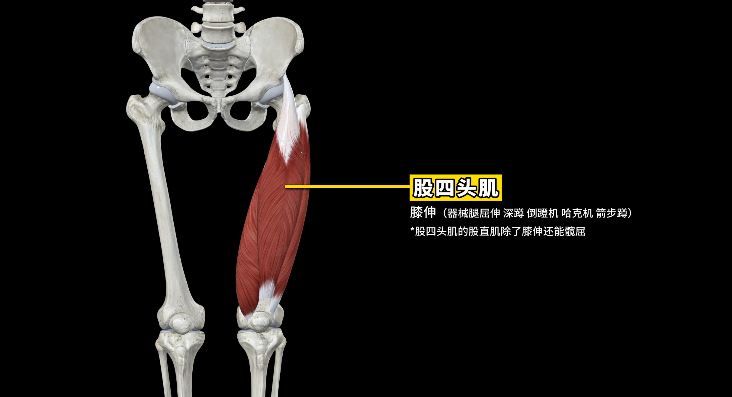 腿1