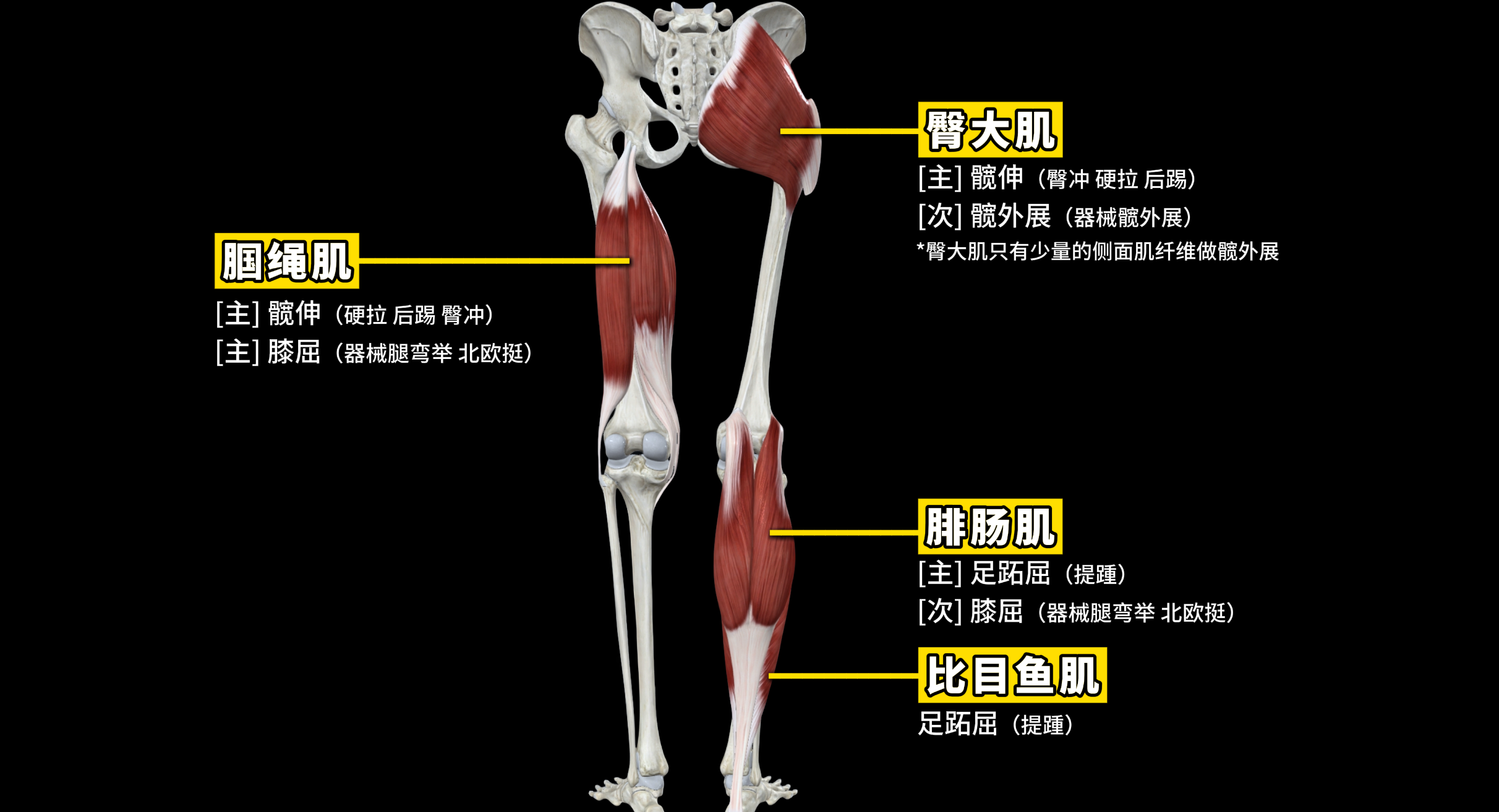 腿2